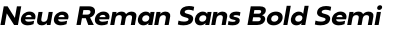 Neue Reman Sans Bold Semi Expanded Italic